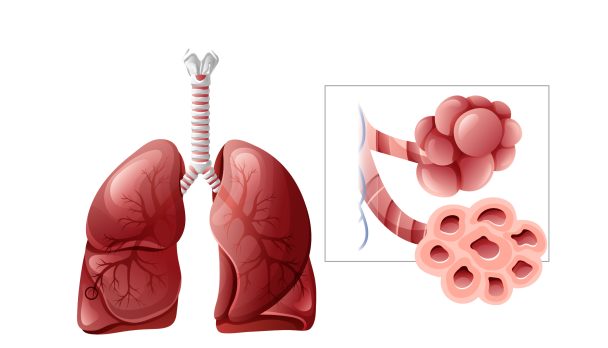 Pulmonary Fibrosis course image_Modified