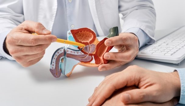 shutterstock_2290054637